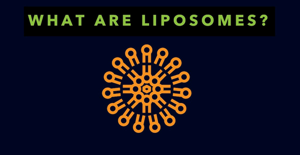 Liposomes: A Rundown